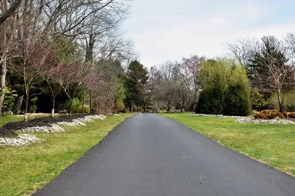 Tree-lined estate driveway freshly sealed